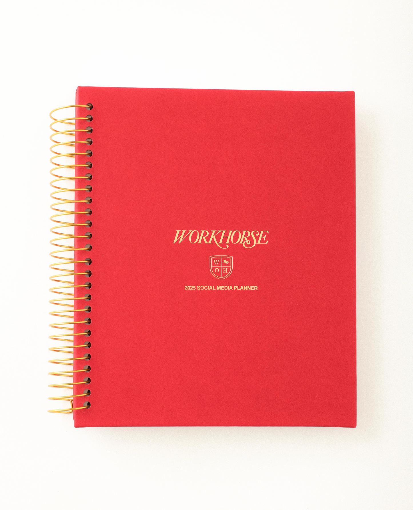 2025 SOCIAL MEDIA PLANNER IN HOLIDAY RED
