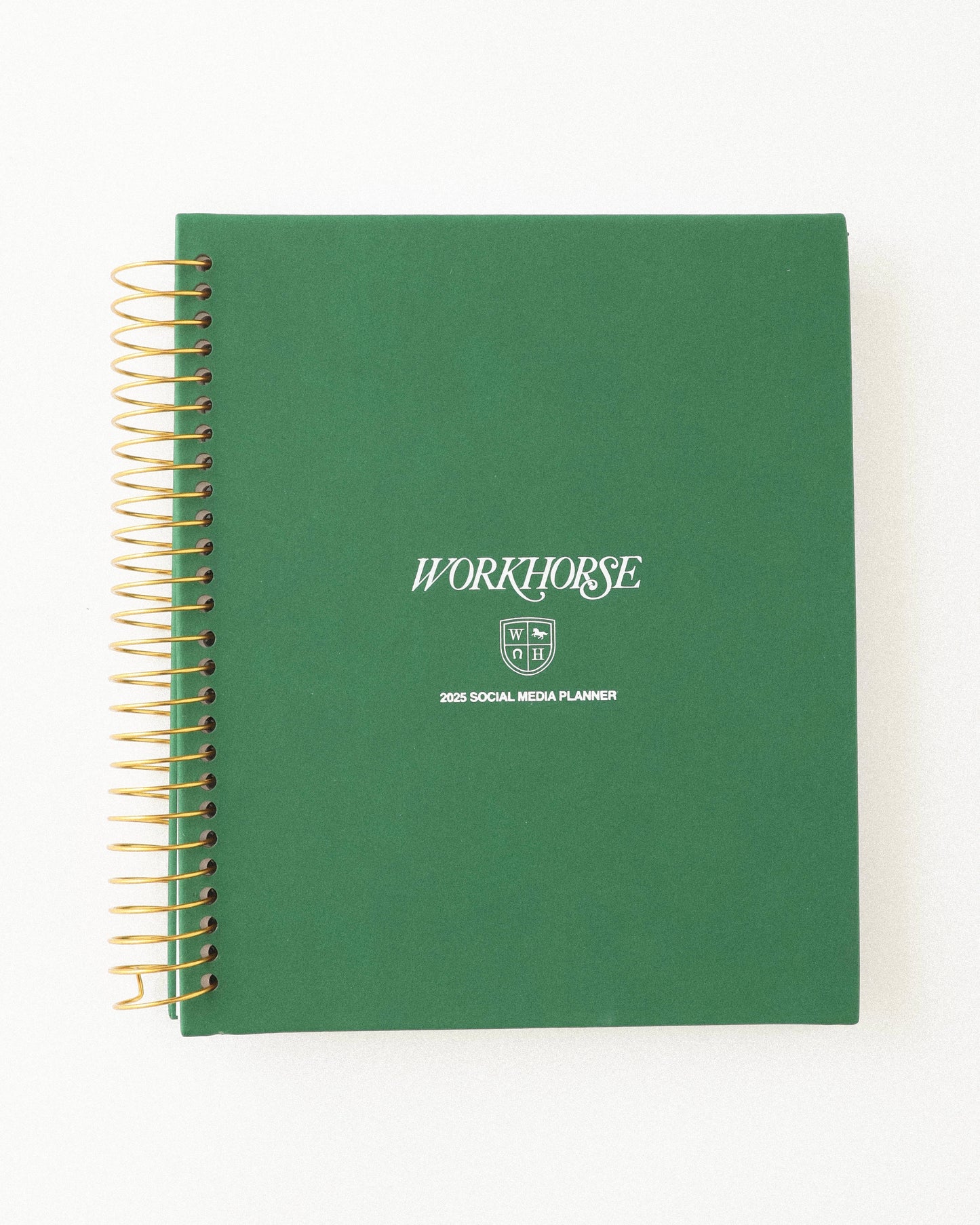 2025 SOCIAL MEDIA PLANNER IN GREEN