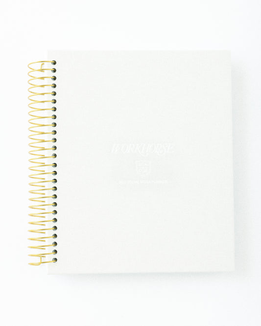 2025 SOCIAL MEDIA PLANNER IN BEIGE LINEN