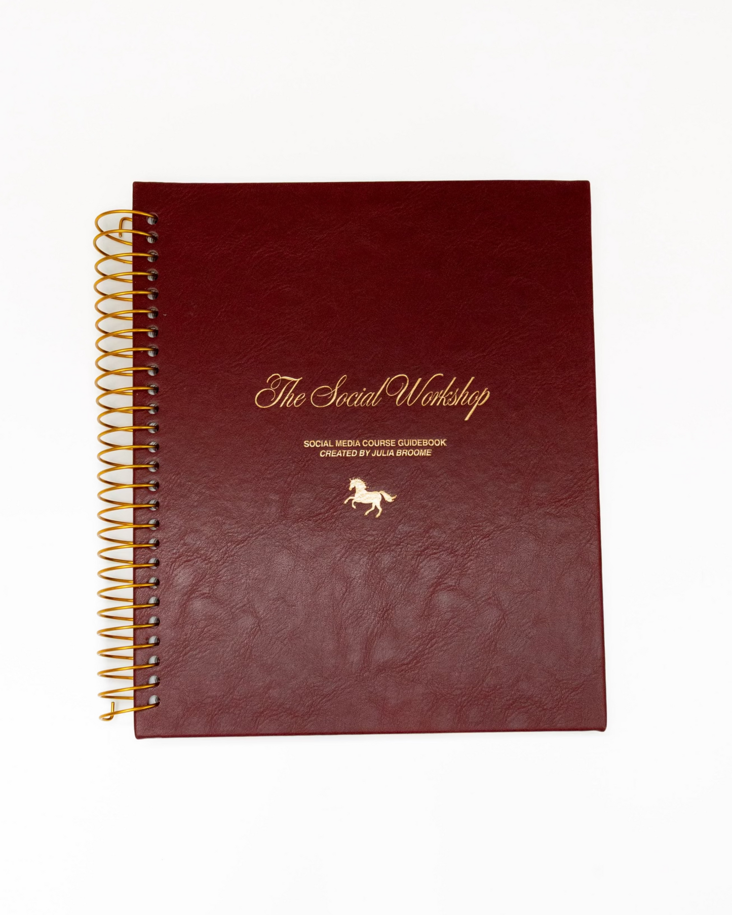 COURSE GUIDEBOOK *CONTENT COURSE*